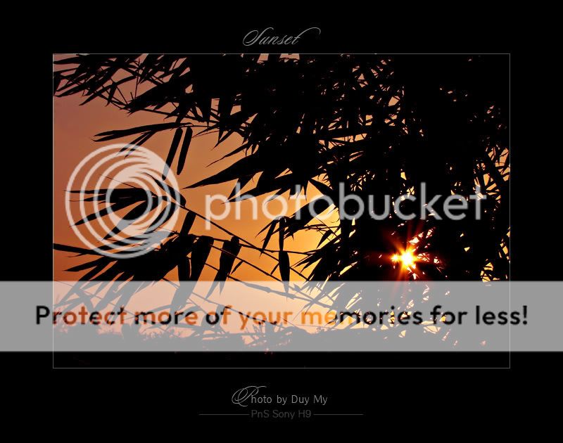 Sunset4.jpg