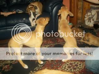100_2065.jpg