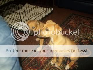 100_2070.jpg
