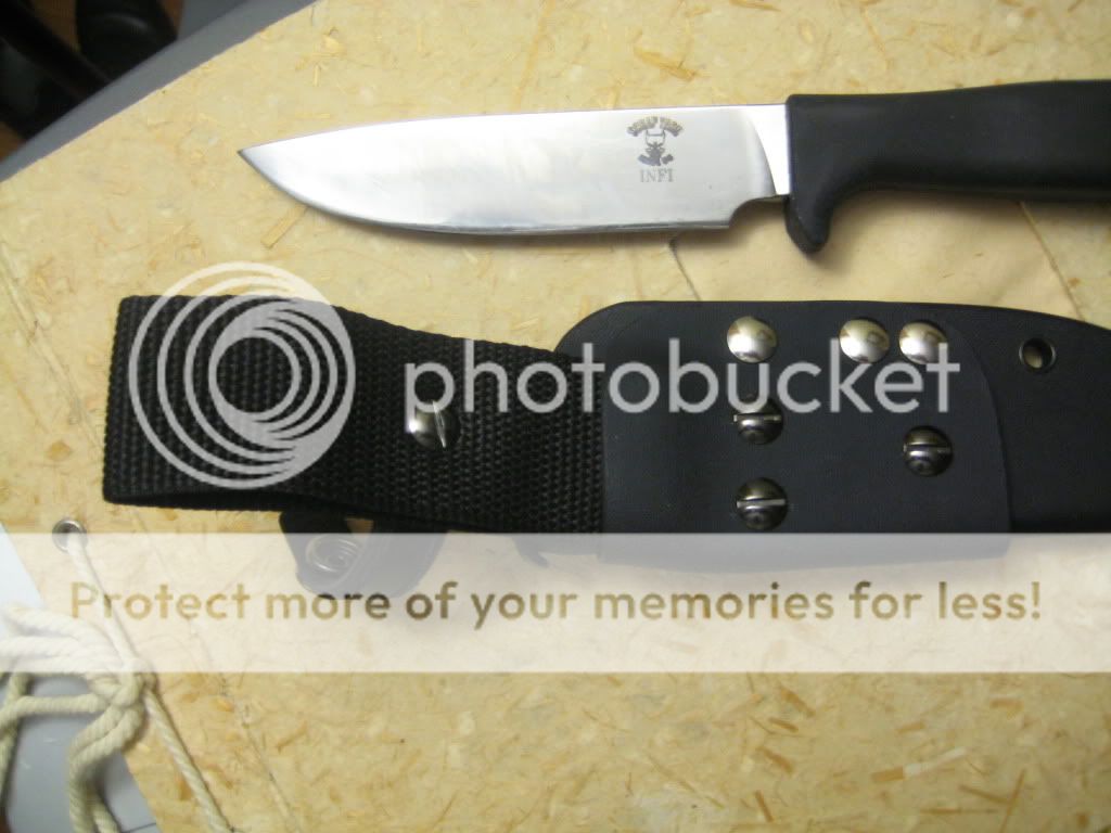 [Linked Image from i432.photobucket.com]