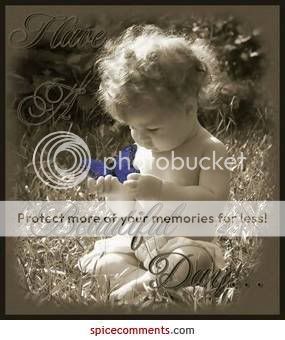 Have A Beautiful Day Pictures, Images and Photos